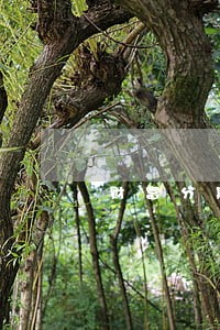 财富分期逾期 财富分期逾期