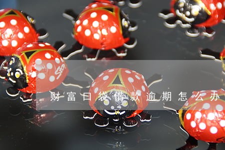 财富口袋借款逾期怎么办 财富口袋借款逾期怎么办