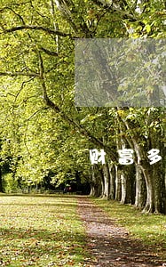 财富多逾期 财富多逾期