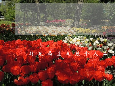 财政局法规股个人工作总结