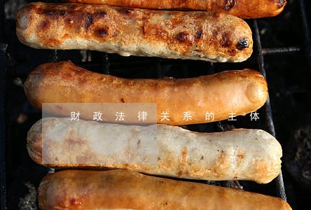 财政法律关系的主体 财政法律关系的主体