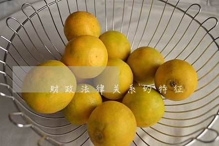 财政法律关系的特征 财政法律关系的特征