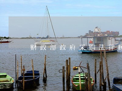 财政部政府采购法律顾问 财政部政府采购法律顾问