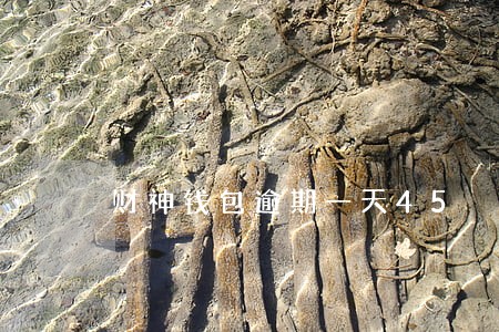 财神钱包逾期一天45 财神钱包逾期一天45