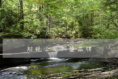 财税公司加盟品牌 财税公司加盟品牌