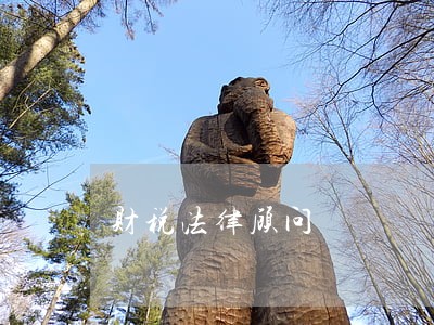 财税法律顾问 财税法律顾问