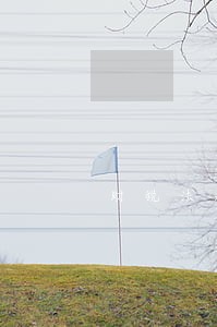 财税法规