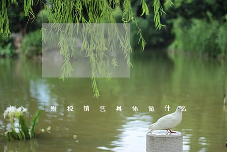 财税销售具体做什么 财税销售具体做什么