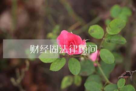 财经圈法律顾问 财经圈法律顾问