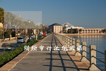 财经审计法规依据 财经审计法规依据