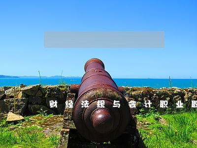 财经法规与会计职业职业道德教案 财经法规与会计职业职业道德教案