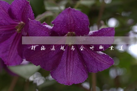 财经法规与会计职业道德关键字