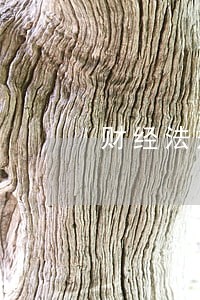 财经法规与会计职业道德名词解释 财经法规与会计职业道德名词解释