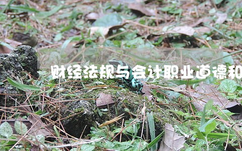 财经法规与会计职业道德和经济法