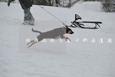 财经法规与会计职业道德应试指南 财经法规与会计职业道德应试指南
