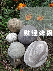 财经法规与会计职业道德试题及答 财经法规与会计职业道德试题及答