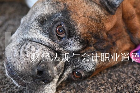 财经法规与会计职业道德课后感 财经法规与会计职业道德课后感