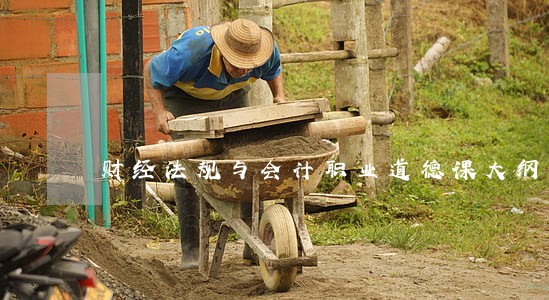 财经法规与会计职业道德课大纲
