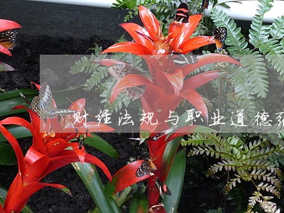 财经法规与职业道德张礼萍 财经法规与职业道德张礼萍