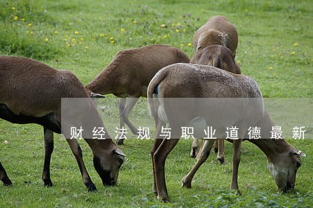 财经法规与职业道德最新教程 财经法规与职业道德最新教程