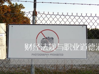 财经法规与职业道德消费税
