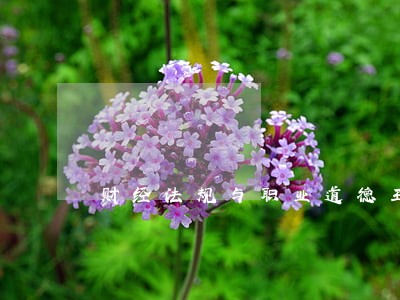 财经法规与职业道德王巧霞课件 财经法规与职业道德王巧霞课件