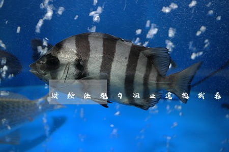 财经法规与职业道德试卷答案 财经法规与职业道德试卷答案