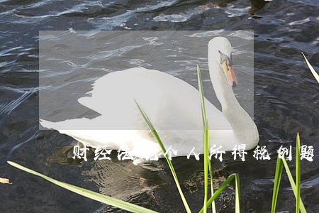 财经法规个人所得税例题 财经法规个人所得税例题