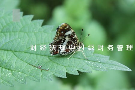 财经法规中村级财务管理 财经法规中村级财务管理
