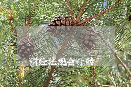 财经法规会计转 财经法规会计转