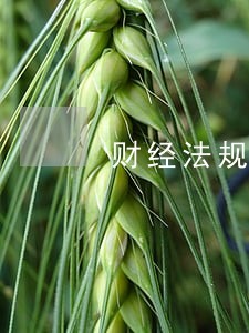 财经法规关于会计人员亲戚关系