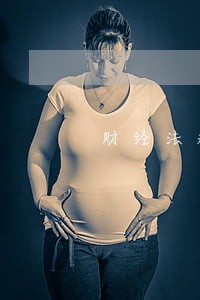 财经法规关于财务负责人的规定 财经法规关于财务负责人的规定