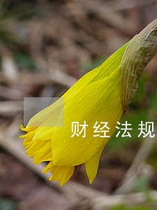 财经法规前两章选择题 财经法规前两章选择题
