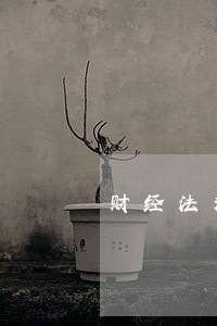财经法规历年考试题目 财经法规历年考试题目