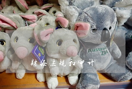 财经法规和审计