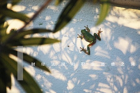 财经法规和职业道德之间的关系 财经法规和职业道德之间的关系