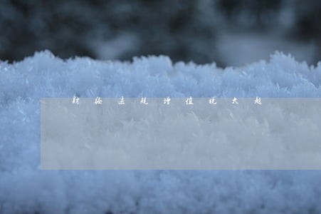 财经法规增值税大题 财经法规增值税大题