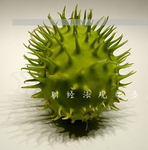 财经法规学多久 财经法规学多久