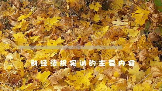 财经法规实训的主要内容 财经法规实训的主要内容