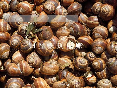 财经法规报账 财经法规报账