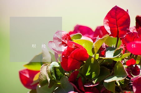 财经法规是不是包括工程 财经法规是不是包括工程