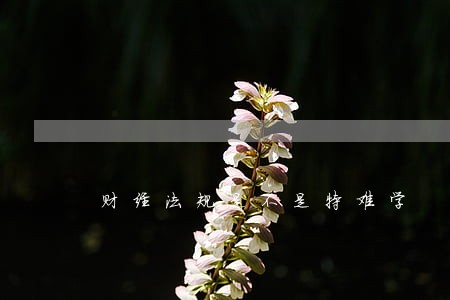 财经法规是不是特难学 财经法规是不是特难学