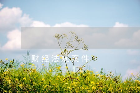 财经法规案件 财经法规案件