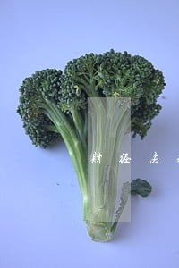 财经法规现金
