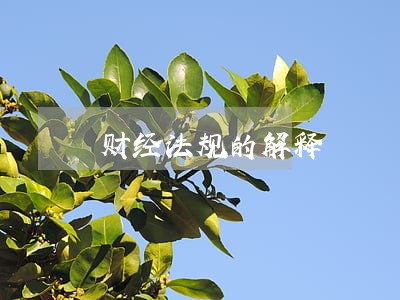财经法规的解释 财经法规的解释