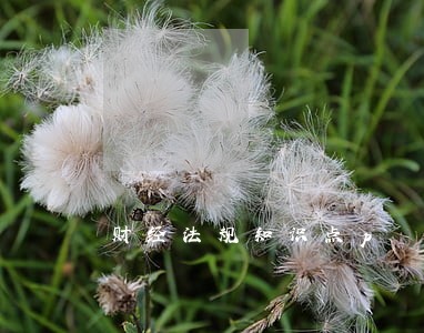 财经法规知识点p