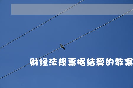 财经法规票据结算的教案 财经法规票据结算的教案