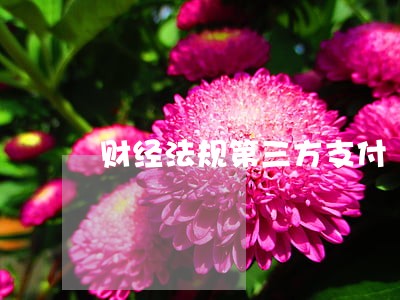 财经法规第三方支付