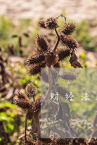 财经法规第二章强化训练二 财经法规第二章强化训练二