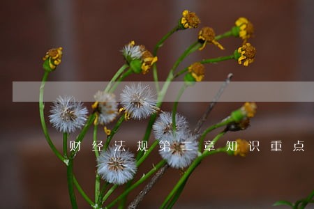 财经法规第二章知识重点